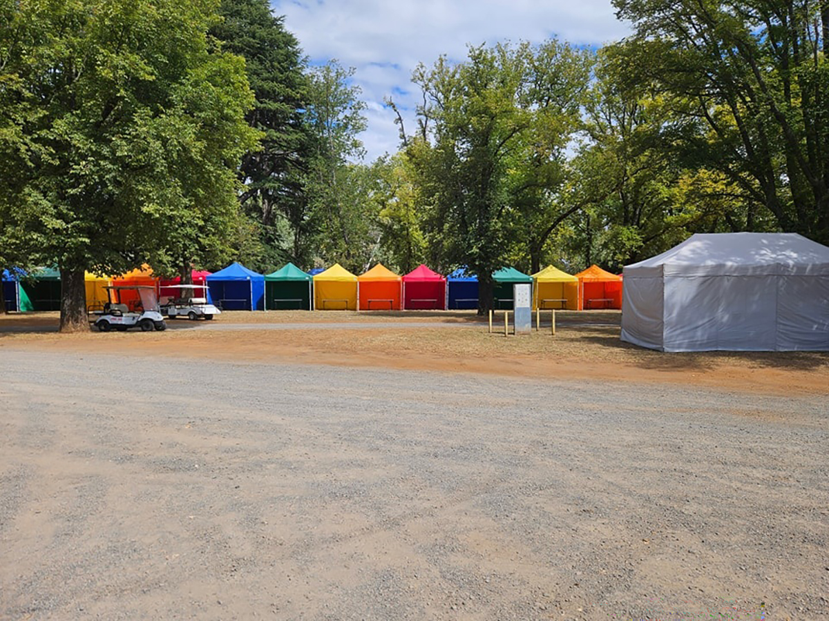 Coloured roofs